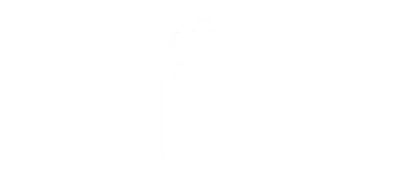 DPP-Partner-Logo